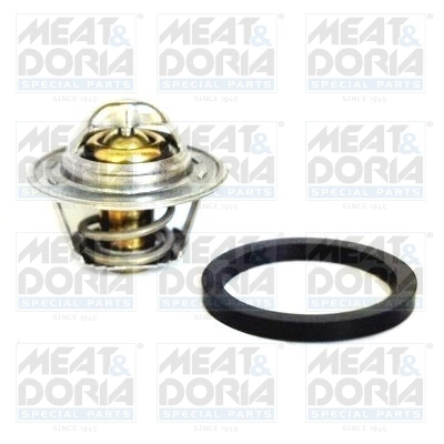 Thermostat, coolant